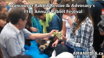 1 AHA MEDIA at 11th Annual Rabbit Festival by Vancouver Rabbit Rescue & Advocacy (18)